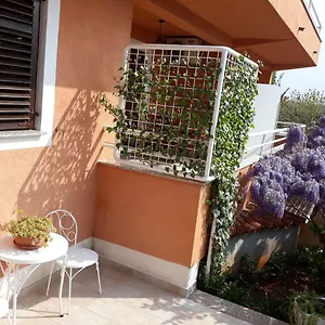 Apartment Lina, Umag